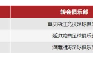 开云体育入口-成都蓉城官宣莱昂纳多等3人离队 外租14名球员